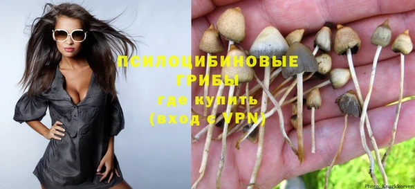 прущий лед Верея