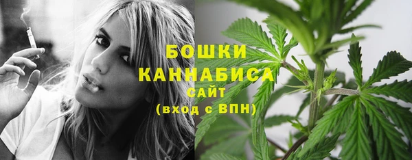 прущий лед Верея